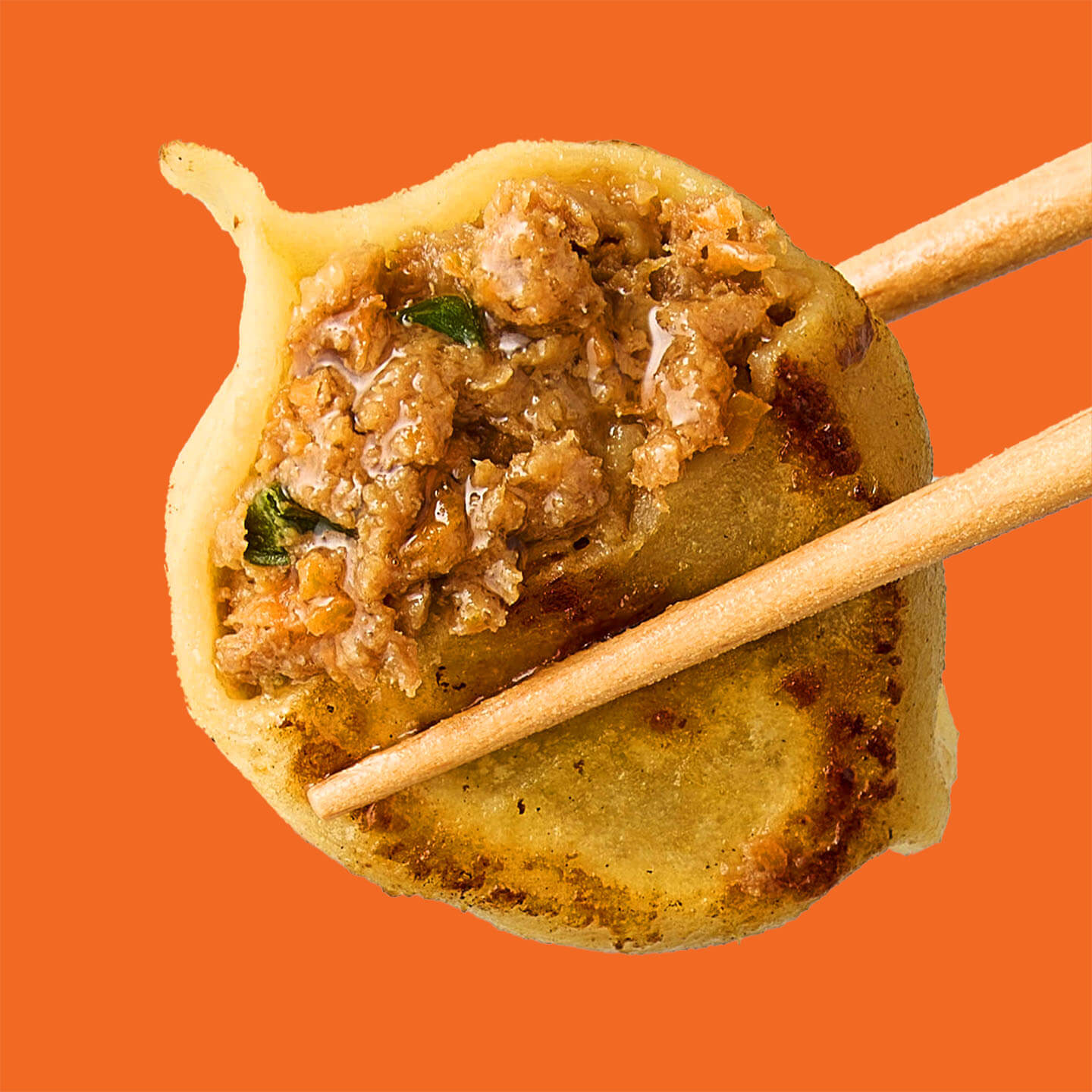 Bold Classic Beef & Carrot Dumplings