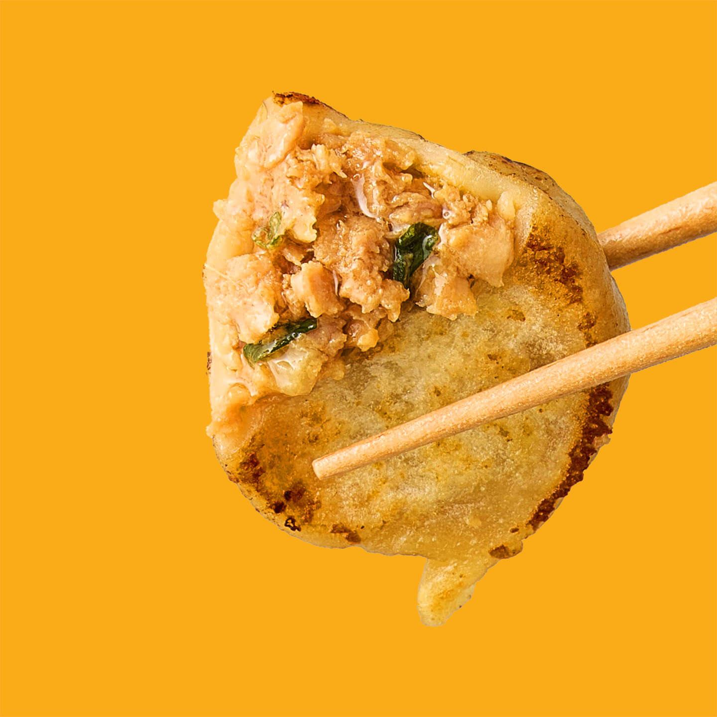 Free Range Chicken & Cabbage Dumplings
