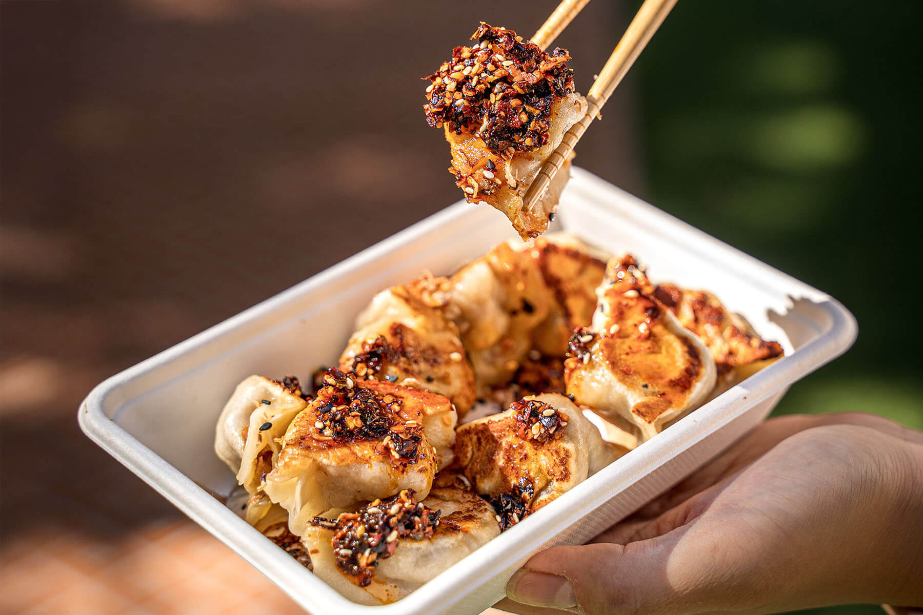 Bold Classic Beef & Carrot Dumplings