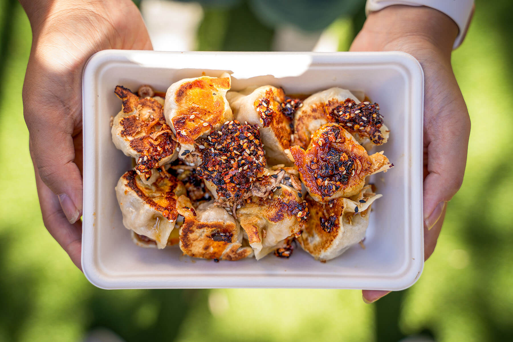 Bold Classic Beef & Carrot Dumplings